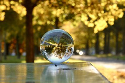 Close-up of crystal ball on table against trees 