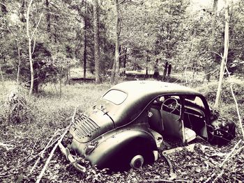 Abandoned car in forest