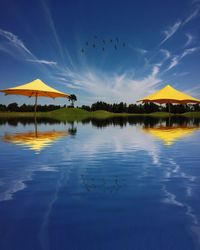 Yellow umbrellas reflecting in pond at blaxland riverside park