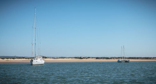 Sailboat sailing on sea against clear sky