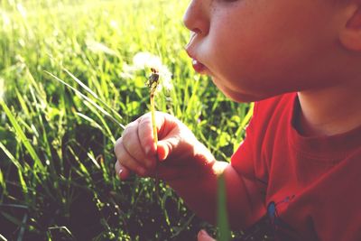 Close-up of boy blowing dandelion at field
