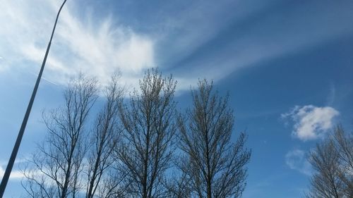 Low angle view of bare trees against cloudy sky