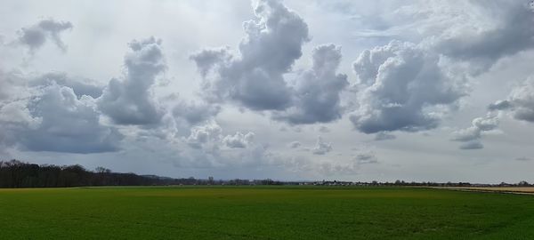 Scenic view of field against sky