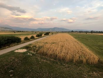 Scenic view of agricultural field against sky during sunset