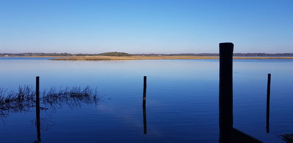 Wooden posts in lake against clear blue sky