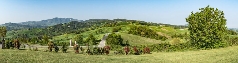 Panoramic view of trees on field against sky