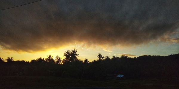 Silhouette trees on field against dramatic sky during sunset