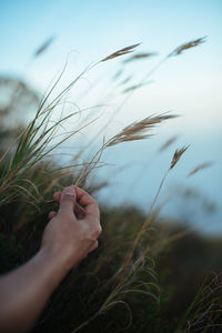 Close-up of person hand on field against sky