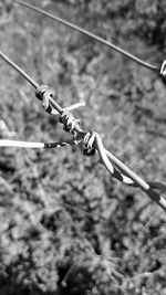 Low angle view of ropes on rope