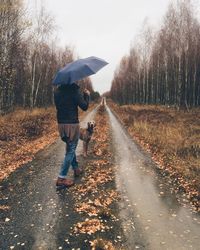 Rear view of woman carrying umbrella while walking with vizsla dog during autumn