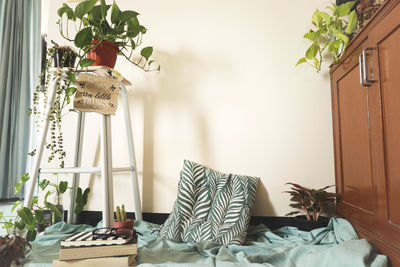 Potted plant on table at home