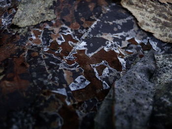 Close-up of rocks