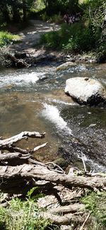 Scenic view of waterfall in forest