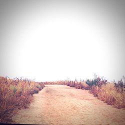 Country road along landscape