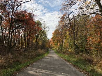 Road amidst trees in forest during autumn