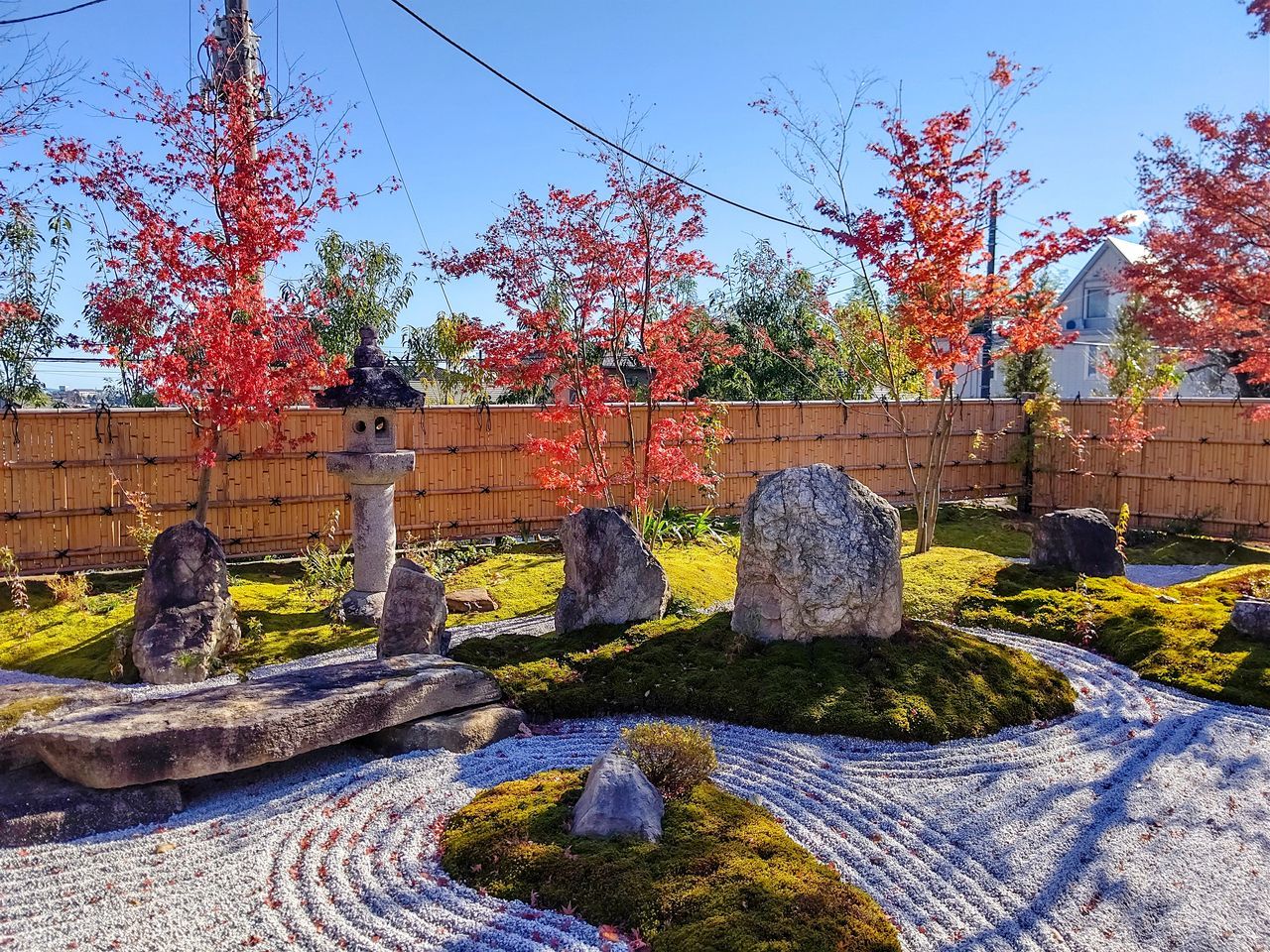 plant, nature, architecture, autumn, sky, tree, no people, flower, history, the past, day, garden, religion, built structure, landscape, cemetery, outdoors, grave, travel destinations, stone material, clear sky, sunlight, memorial, blue, sunny, travel, belief, leaf, stone, ancient, wall, multi colored