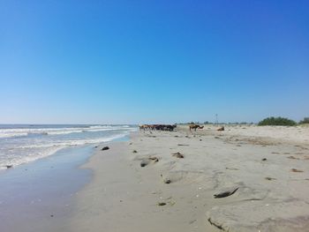 Scenic view of beach against clear blue sky