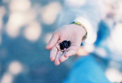 Human hand holding small outdoors