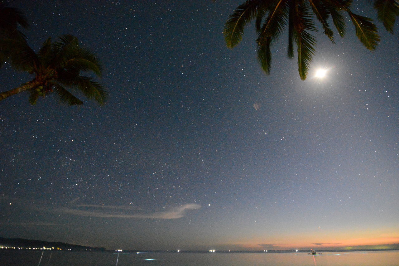 LOW ANGLE VIEW OF COCONUT PALM TREES AGAINST SKY