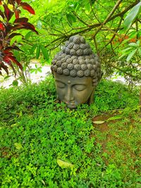 Buddha statue against plants