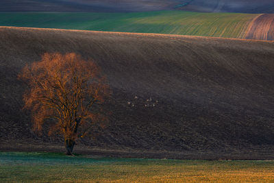 Turiec region, slovakia.