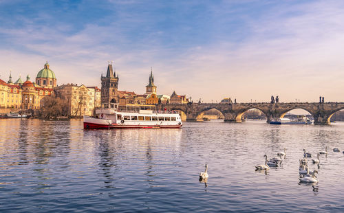 Swans swimming on river by ferry against city at sunset