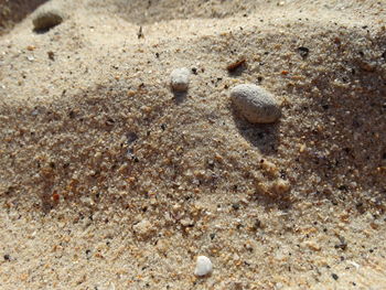 Close-up of pebbles