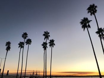 Silhouette of palm trees at beach during sunset