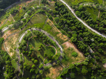 High angle view of agricultural landscape