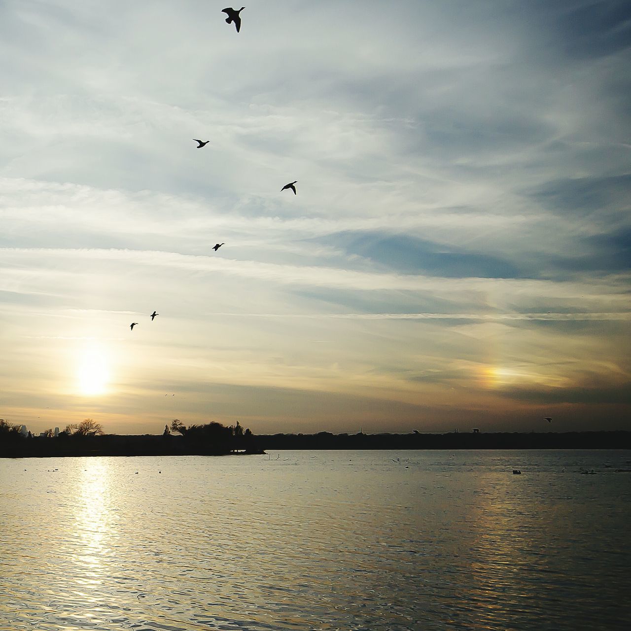 sunset, sky, bird, water, cloud - sky, flying, scenics, sea, animal themes, waterfront, silhouette, tranquil scene, beauty in nature, tranquility, cloud, sun, reflection, nature, animals in the wild, cloudy