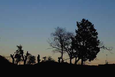 Low angle view of silhouette trees against clear sky during sunset