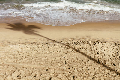 Scenic view of beach