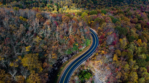 High angle view of road amidst trees during autumn