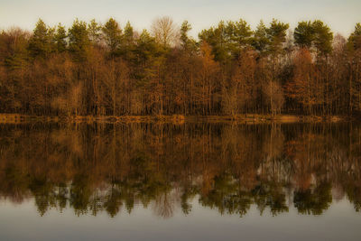 Reflection of trees in lake against sky