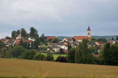 Trees and houses on field against sky