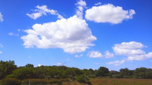 Scenic view of landscape against blue sky