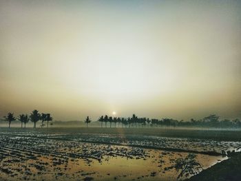 Scenic view of beach against sky during sunset