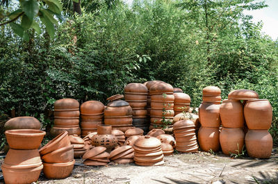 Row of pot on plants against trees