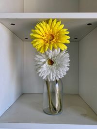 Close-up of white flower in vase