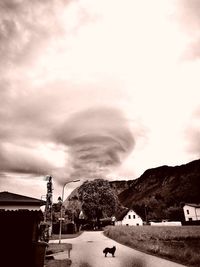 Road by trees against sky