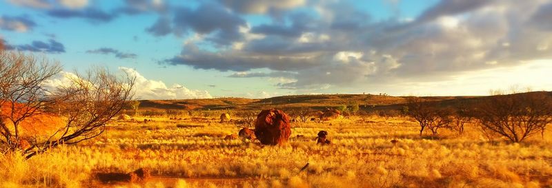 Scenic view of field against cloudy sky