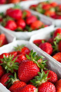 Close-up of strawberries in market