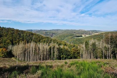 Scenic view of landscape against sky