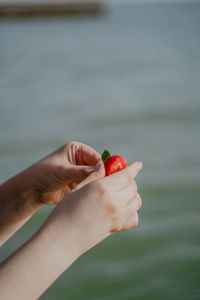 Cropped hand of person holding strawberry