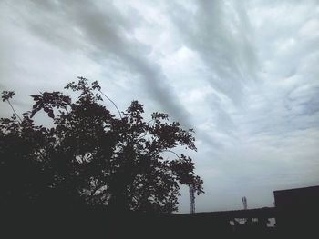 Low angle view of silhouette tree against sky