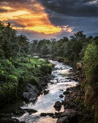 Stream flowing amidst trees against sky during sunset