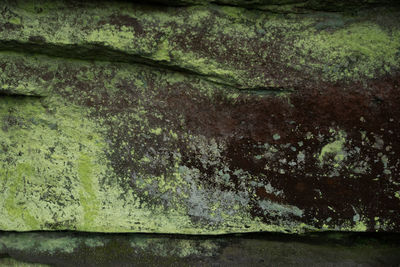 Close-up of rusty water