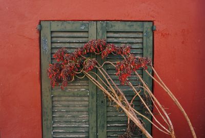 Closed door of old building