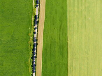 High angle view of agricultural field