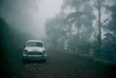 Car on road